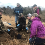 Pennsylvania Game Commission biologist with four Penn State students and their insturctor