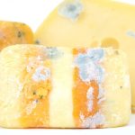 Knowing when to throw out moldy food moldy cheese
