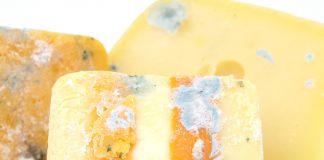 Knowing when to throw out moldy food moldy cheese