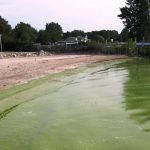 Lake Erie, toxic algal bloom, algae,