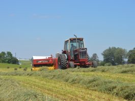 Hay shortage is a growing concern for farmers