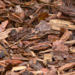 How to properly mulch around landscape trees bark mulch