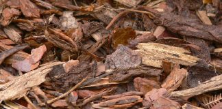 How to properly mulch around landscape trees bark mulch