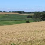 Census of Agriculture creates snapshot of US agriculture census of agriculture, Ohio farm,