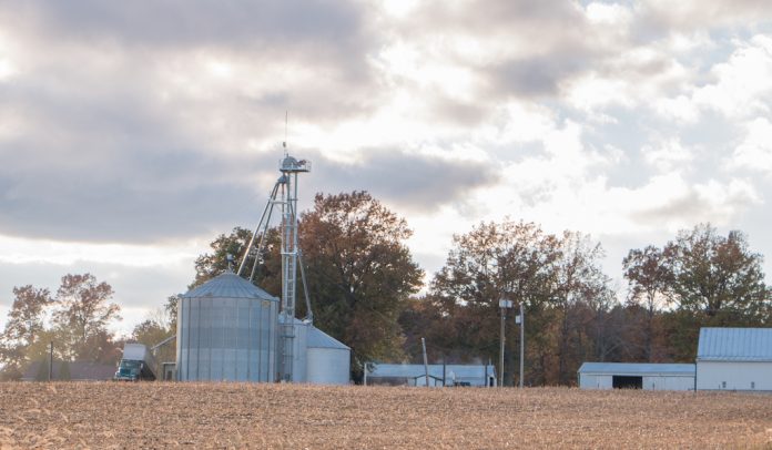 fall grain bins fall harvest grain bins USDA report planting