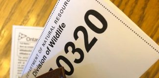 Fishing? Have the right things in your wallet fishing license