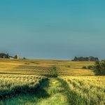 CO2 pipelines to stretch across the Midwest Iowa