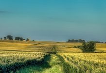 CO2 pipelines to stretch across the Midwest Iowa
