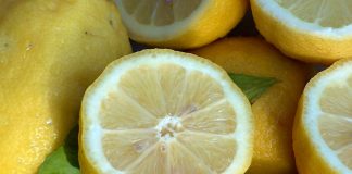 Growing fruits and vegetables from kitchen scraps lemons