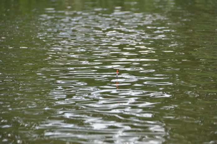 bobber in pond bobber in pond