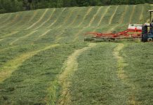 Year-end reflection for forage managers: pastures, hay quality & lessons learned forages