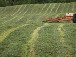 Year-end reflection for forage managers: pastures, hay quality & lessons learned forages