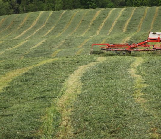Year-end reflection for forage managers: pastures, hay quality & lessons learned forages