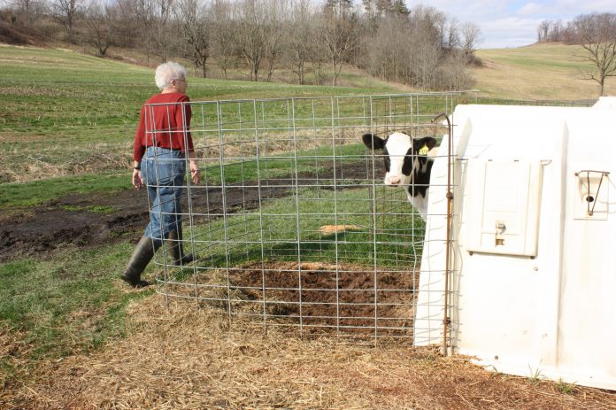 A farm mom walking around the farm during a busy day of work.