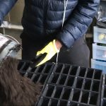 Cleveland youth program digs in planting club crops