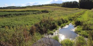 Is water quality certification next for Ohio farmers? water quality, tile, CRP, Ohio farm