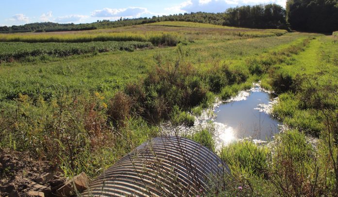 water quality, tile, CRP, Ohio farm