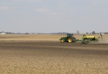 Corn acres debate fires up markets delayed planting, corn,