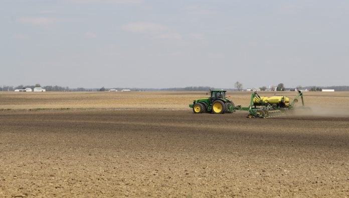 delayed planting, corn,