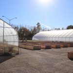 OSU Mansfield to pilot urban agriculture project OSU Mansfield, micro-farm, local food,