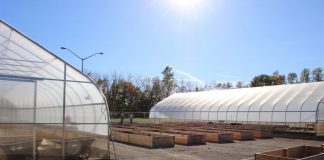 OSU Mansfield to pilot urban agriculture project OSU Mansfield, micro-farm, local food,