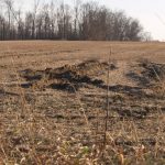 Slow planting progress dominates grain markets rutted wet farm field, Ohio farm, planting,