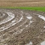 Good weather has (some) farmers smiling again wet field, prevented planting, weather