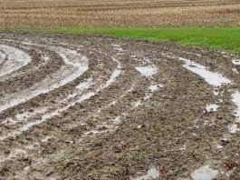 wet field, prevented planting, weather