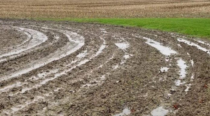 wet field, prevented planting, weather