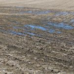 When you thought grain markets couldn’t get worse… delayed planting, wet field, Ohio farm,