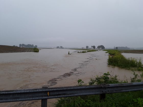 flood waters in a shelby county corn field