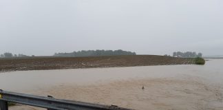 Flood waters in a shelby county corn field