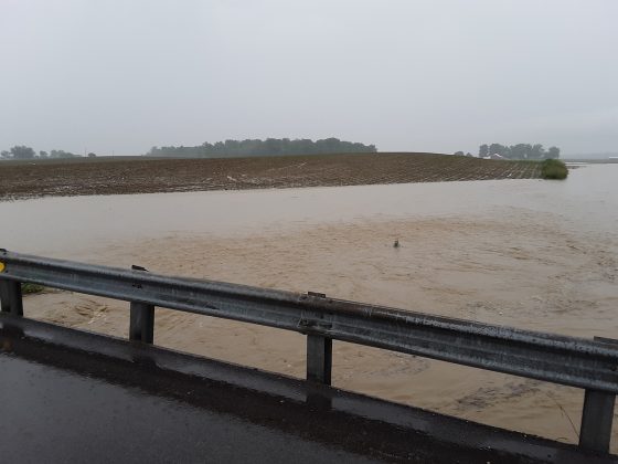 Flood waters in a shelby county corn field