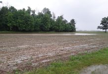 Persistent rains and cool temps slow Ohio’s 2025 planting season flood waters in a shelby county corn field