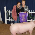 New rules for Pa. swine shows at county fairs African Swine Fever quarantine Pennsylvania