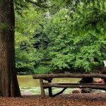 Fannie Flagg books will make you laugh and even ponder woman reading