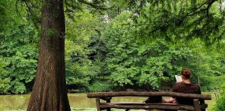 Fannie Flagg books will make you laugh and even ponder woman reading