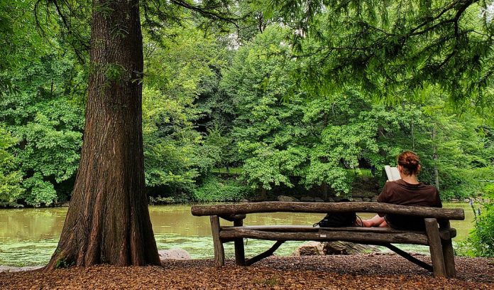 woman reading woman reading