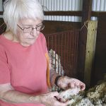 Pennsylvania wool pool marks almost 100 years Wool pool
