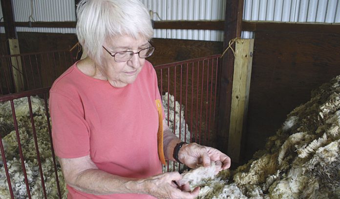 mercer pa wool pool 1 Wool pool