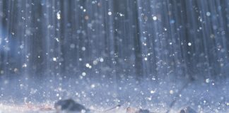 Media, meet the Midwest farming crisis rain falling