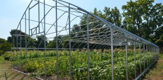 Rural communities get economic development help rural development, tunnel greenhouse, USDA,