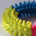 New puppy a gift from above dog toy