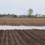 Grain farmers facing ‘slow-motion disaster’ MFP USDA prevented planting