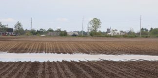 MFP USDA prevented planting