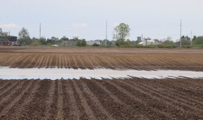 MFP USDA prevented planting