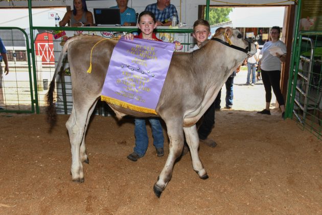 reserve-dairy-feeder