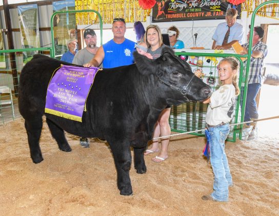 grand-champion-steer