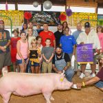 Trumbull fair sale totals $334,314 St.-Jude-charity-hog
