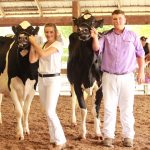 Farmers compete at Harrison dairy shows Harrison Dairy